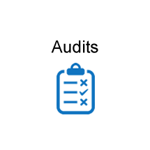 Audits